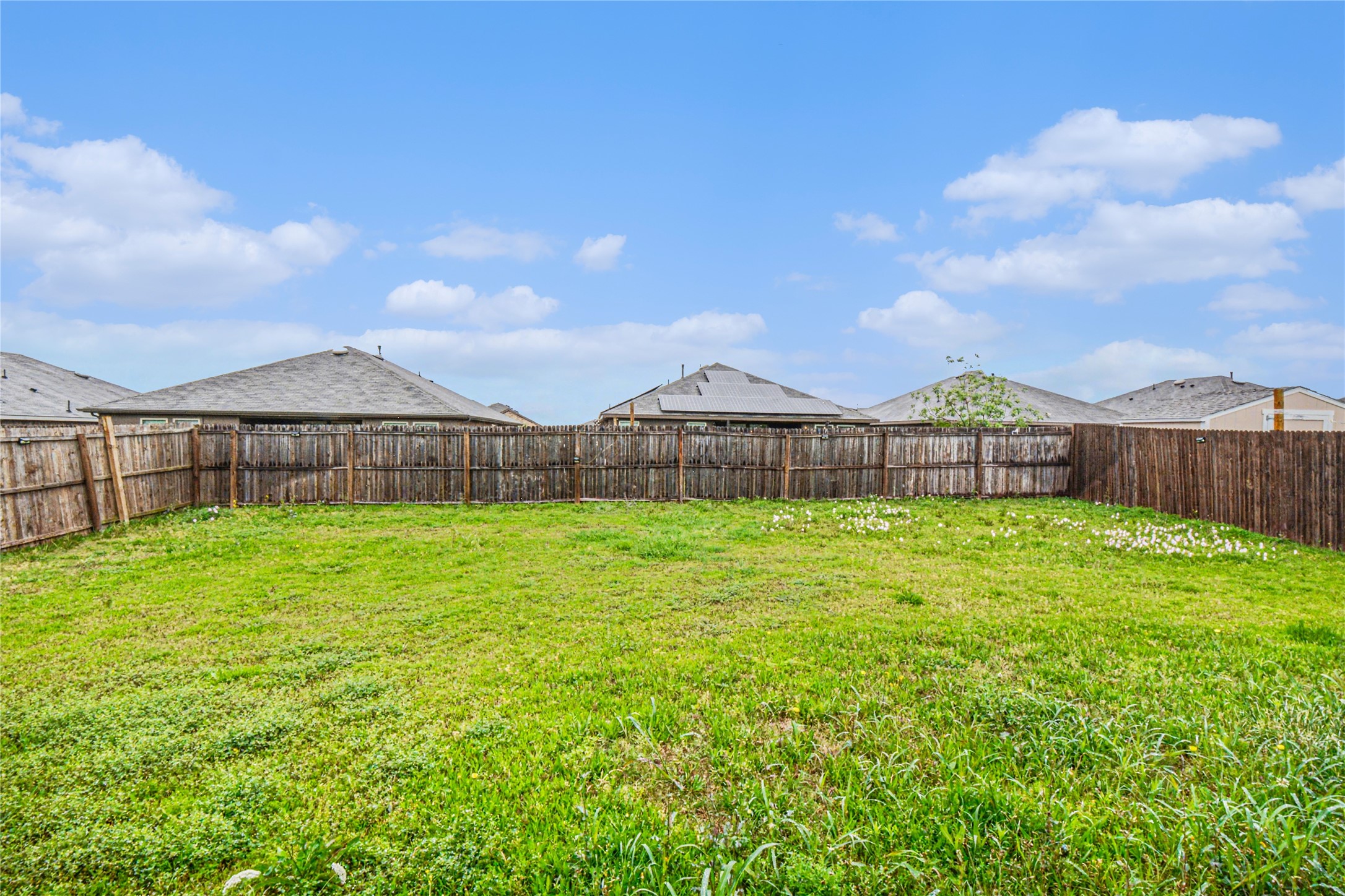 3119 Holstein Drive Forney TX 75126