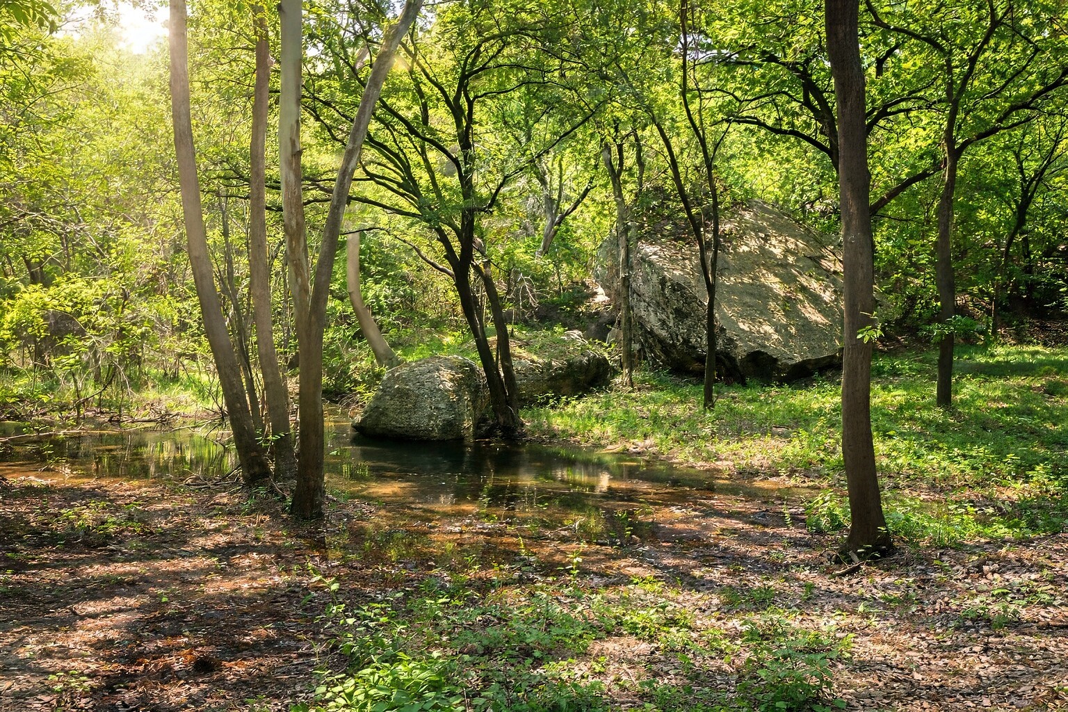 9509 Valley View Trail Rio Vista TX 76093