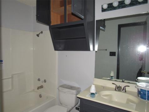 109 Woody Ray Drive Elm Mott TX 76640