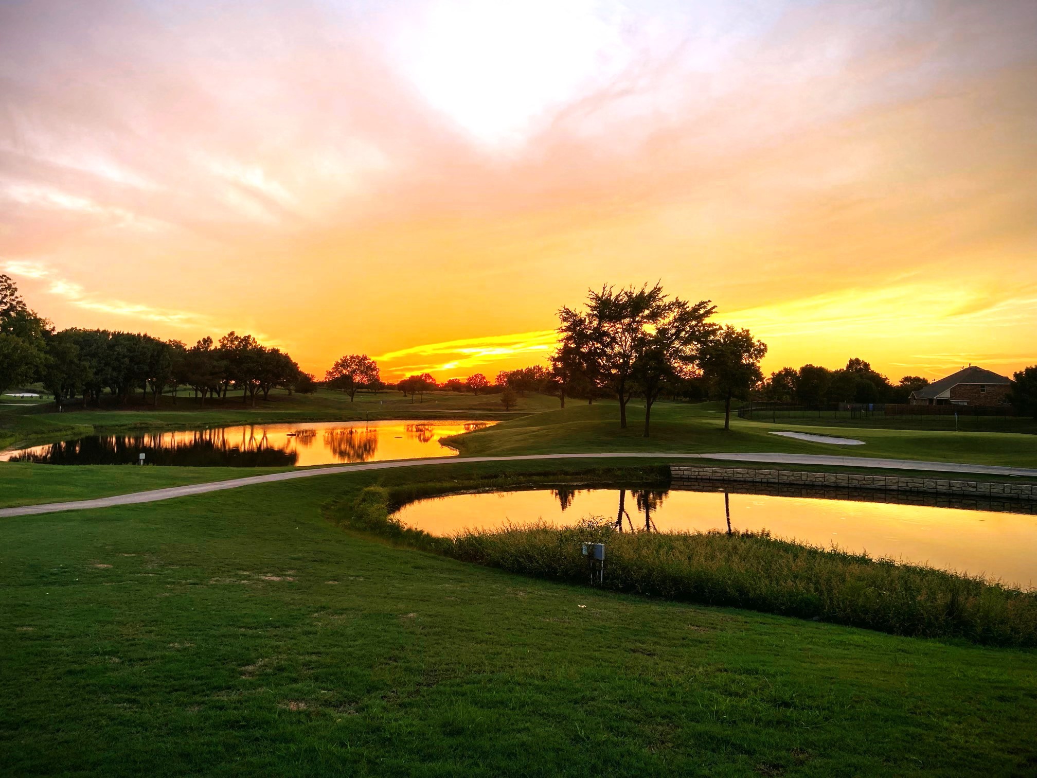9706 Peach Tree Lane Rowlett TX 75089