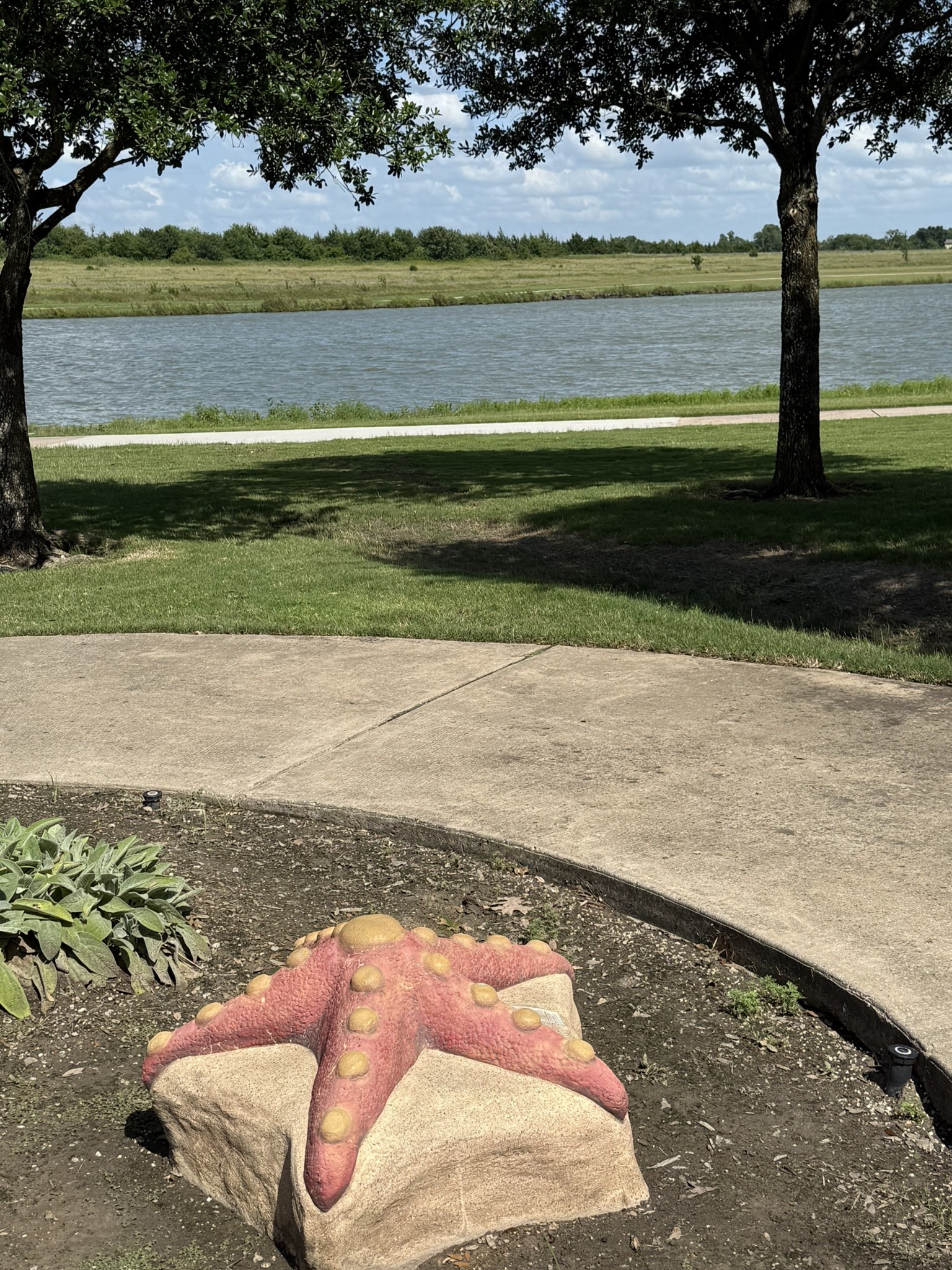 2028 Lake Trail Drive Heartland TX 75126