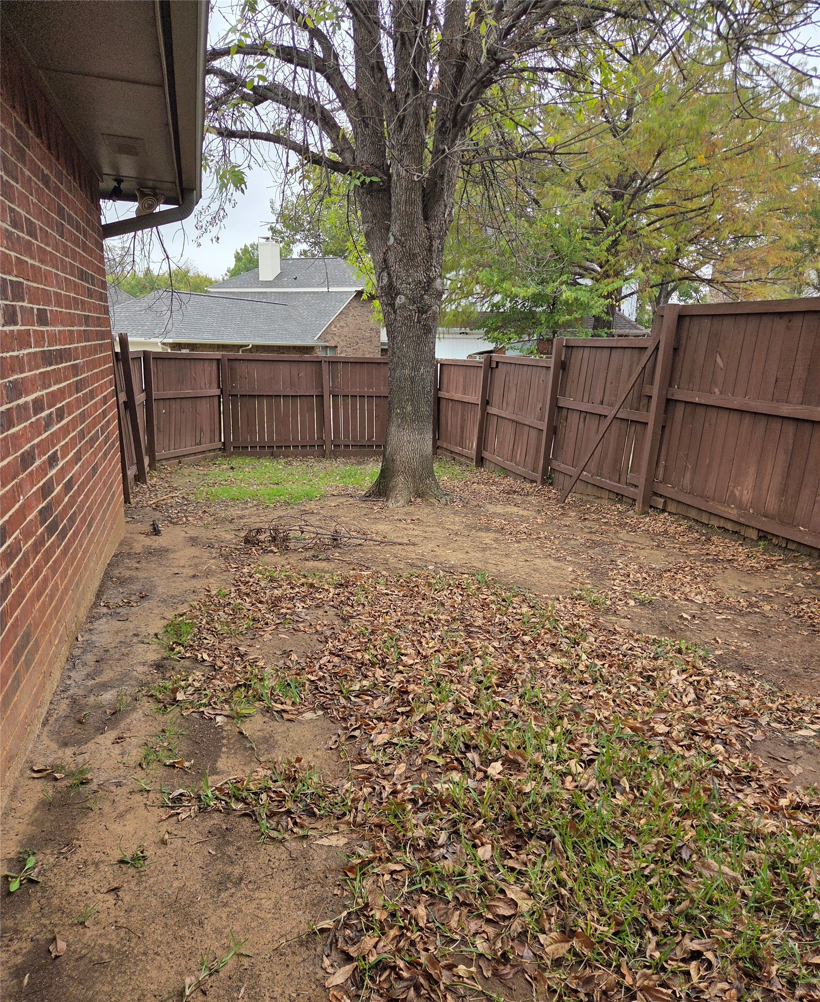 718 Red Oak Drive Lewisville TX 75067