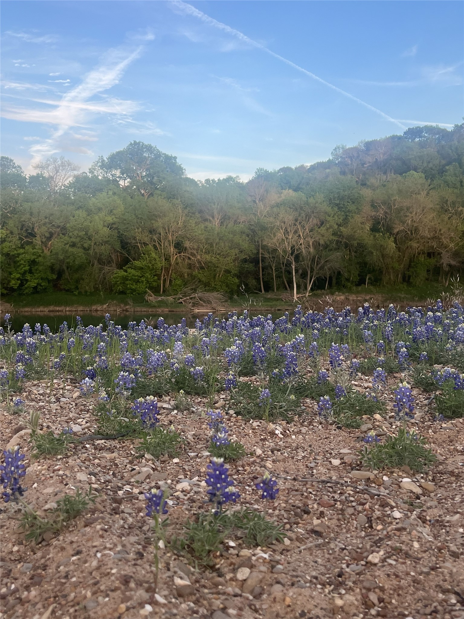 8513 Ravenswood Road Granbury TX 76049