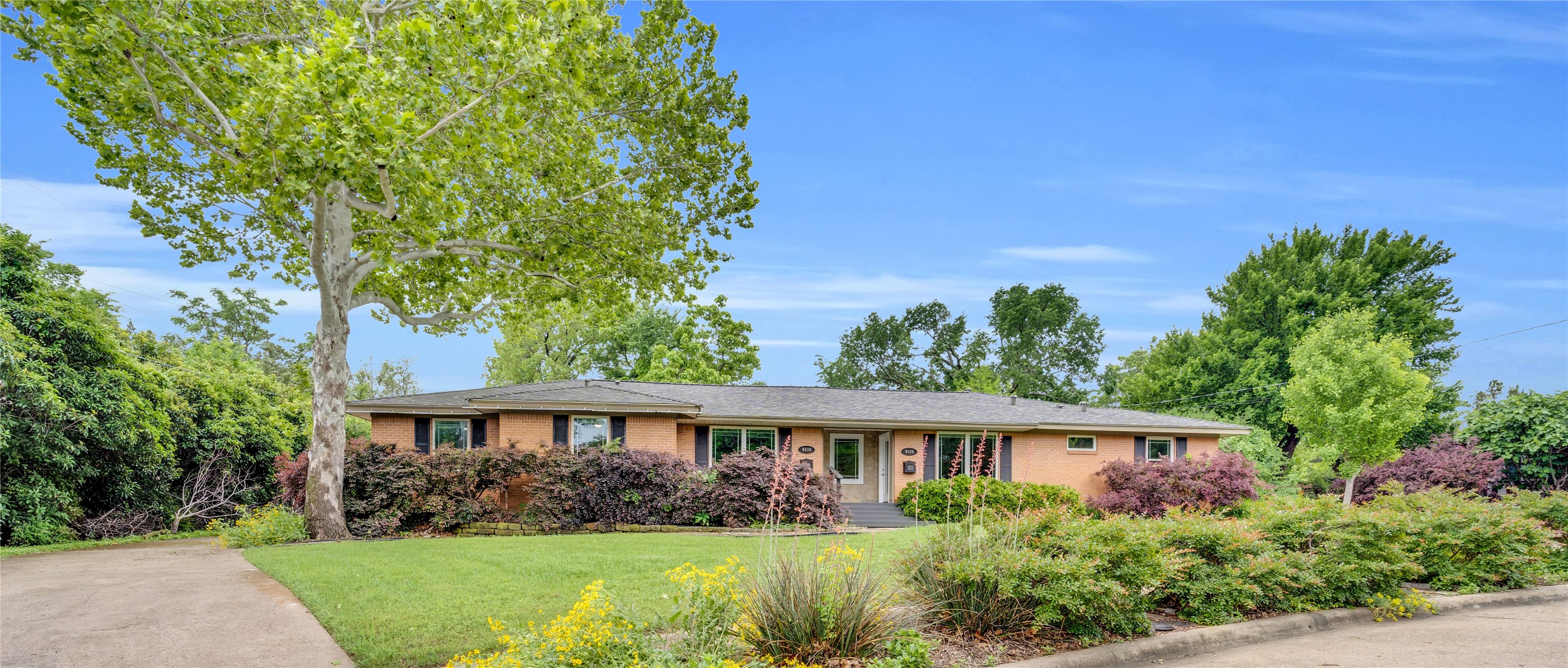 9528 Ash Creek Drive Dallas TX 75228