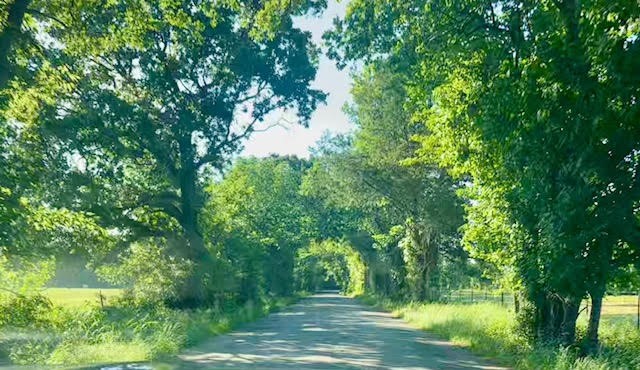 1630 County Road 2320 Terrell TX 75160
