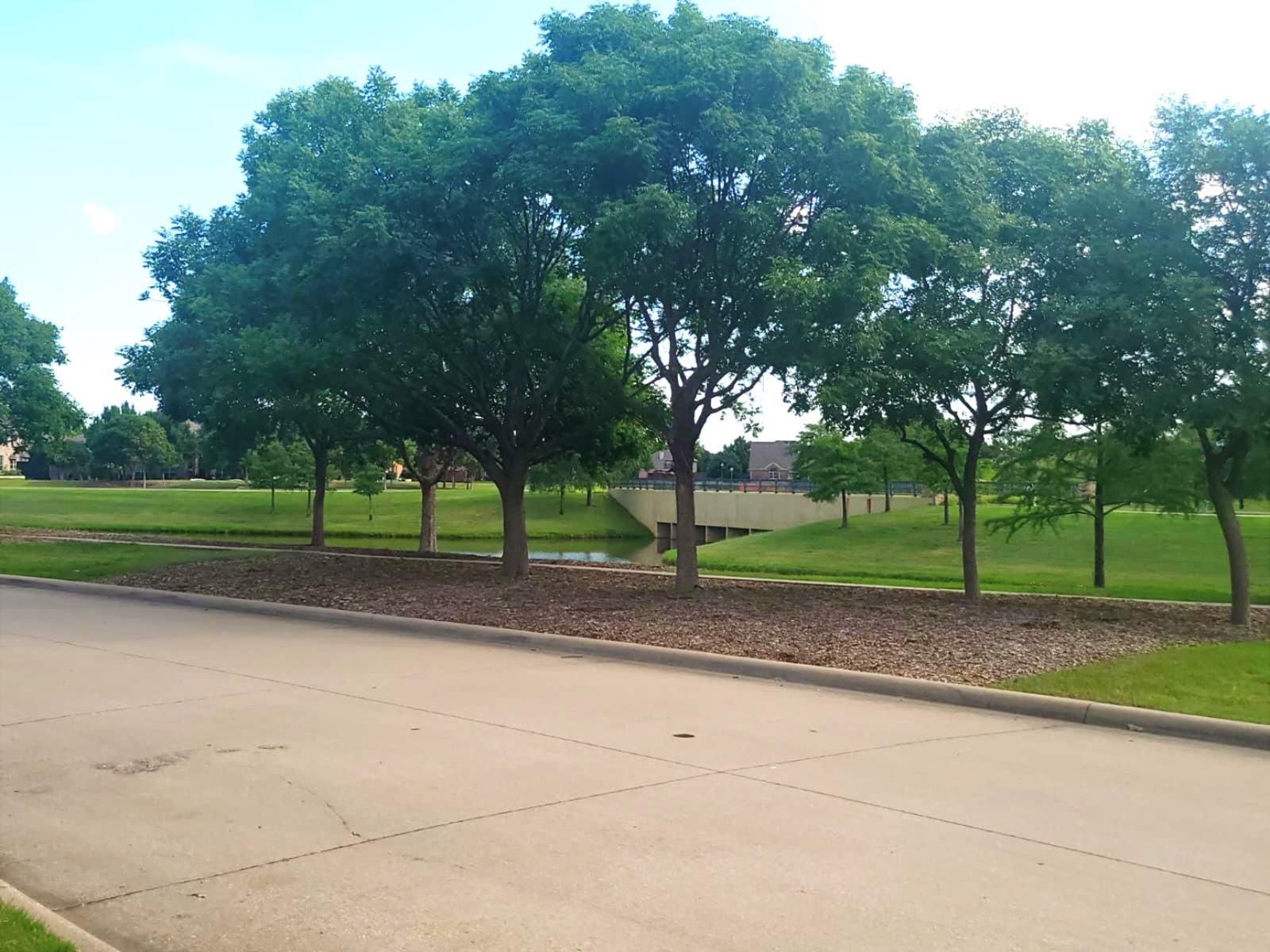 1229 Ducks Landing Frisco TX 75033
