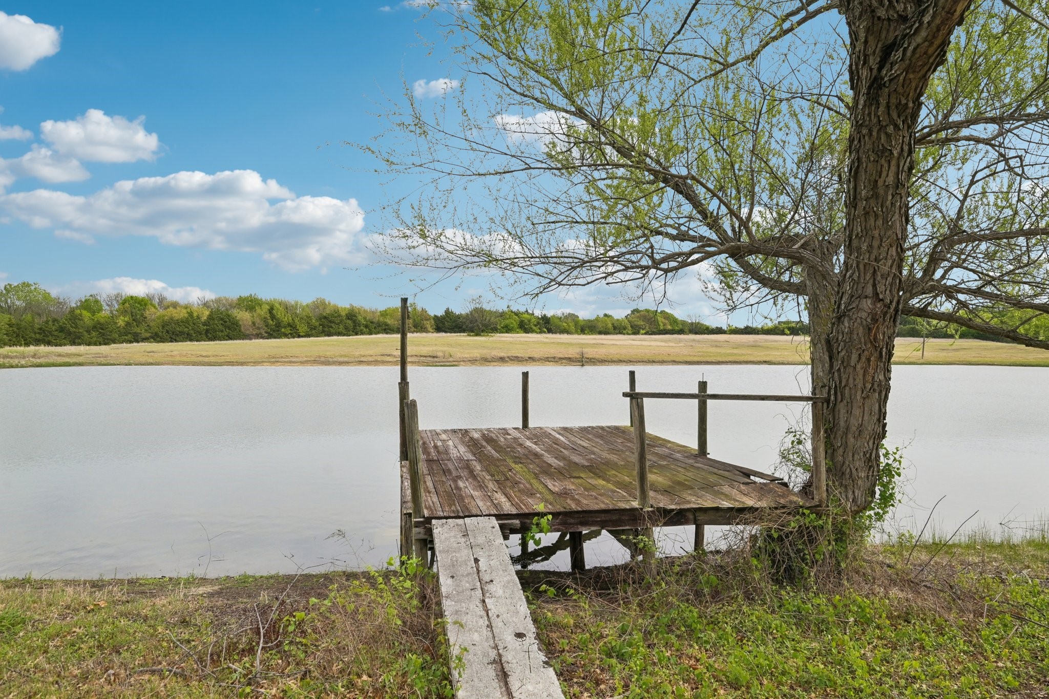 7956 S State Highway 78 Leonard TX 75452