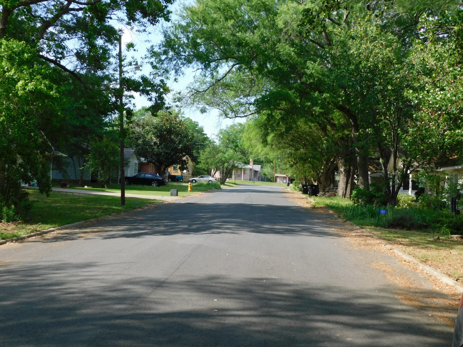105 NW 2nd Springhill LA 71075