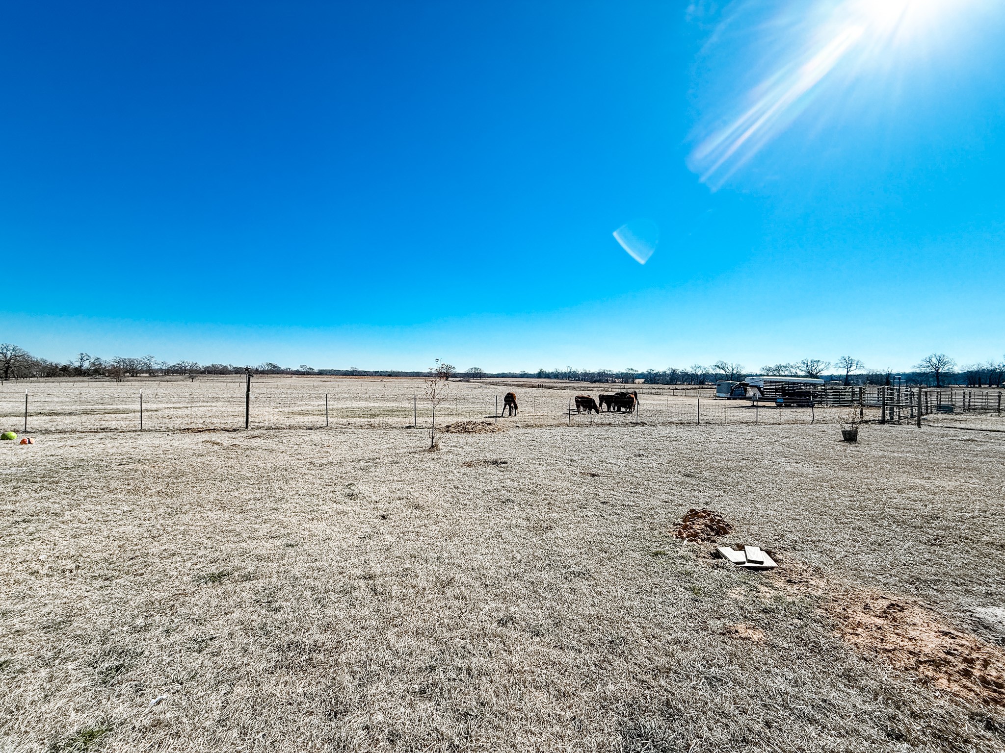 459 Vz County Road 2141 Canton TX 75103