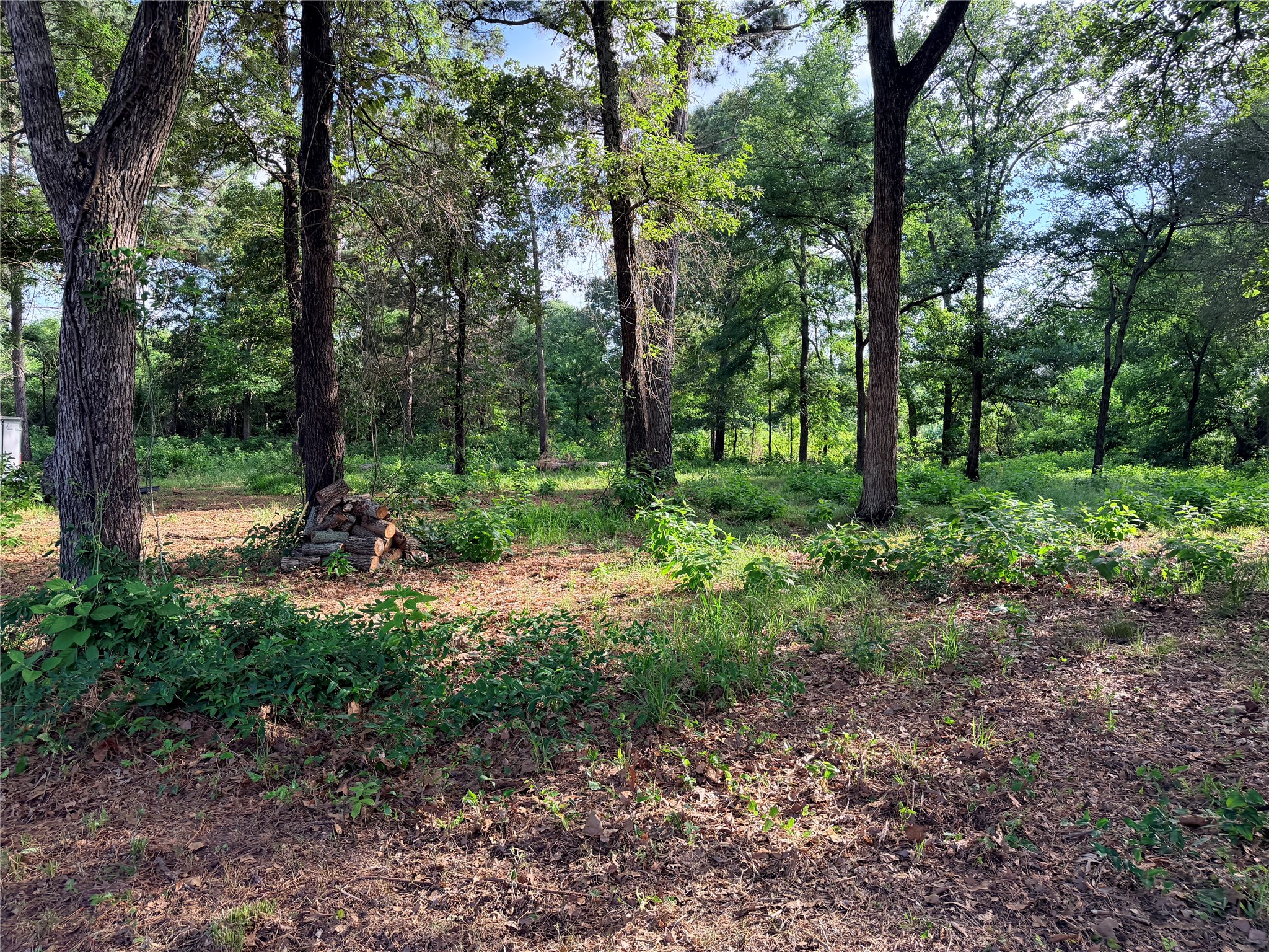 1542 And 1468 Vz County Road 4207 Road Canton TX 75103