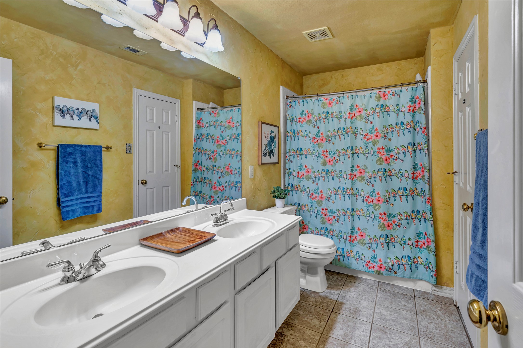 4005 Kite Meadow Drive Plano TX 75074