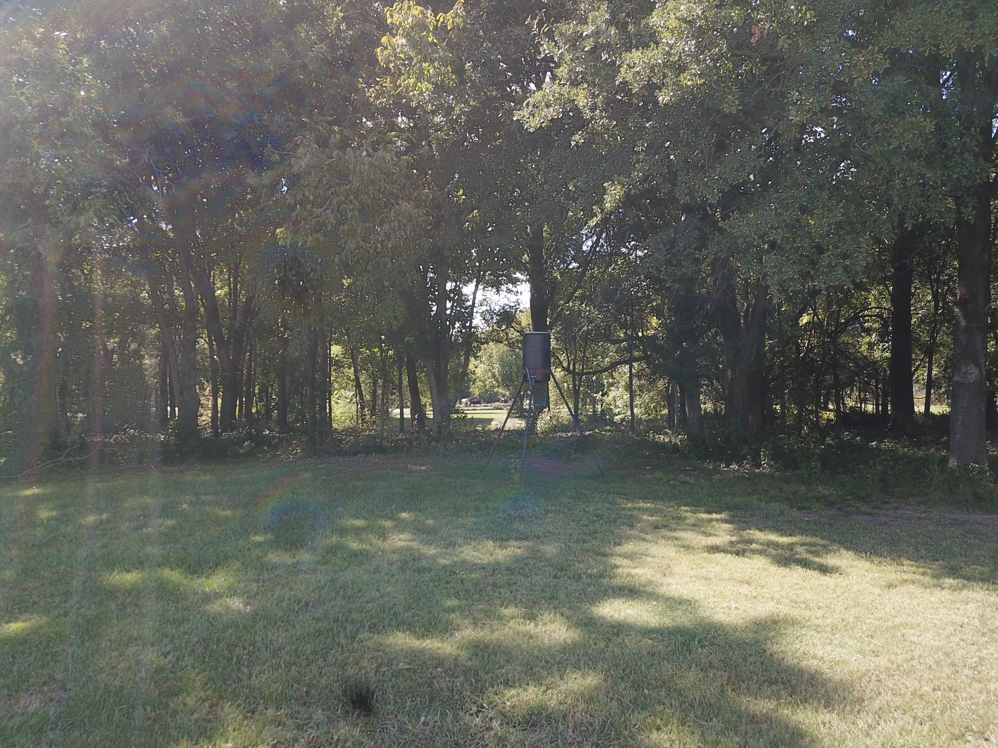 1482 Fm 667 Purdon TX 76679