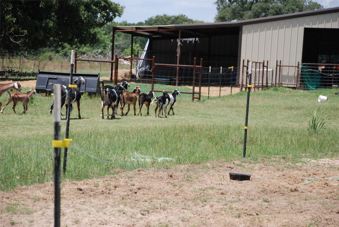 4115 Vz County Road 4714 Ben Wheeler TX 75754