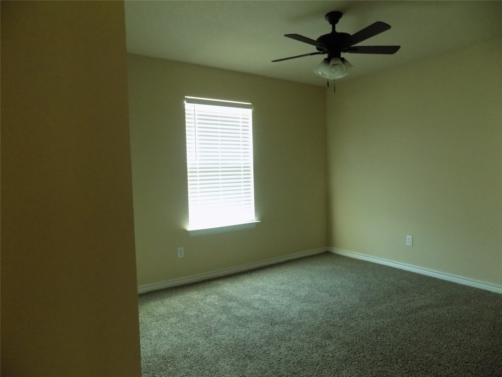 2007 Brown Loop Poolville TX 76487
