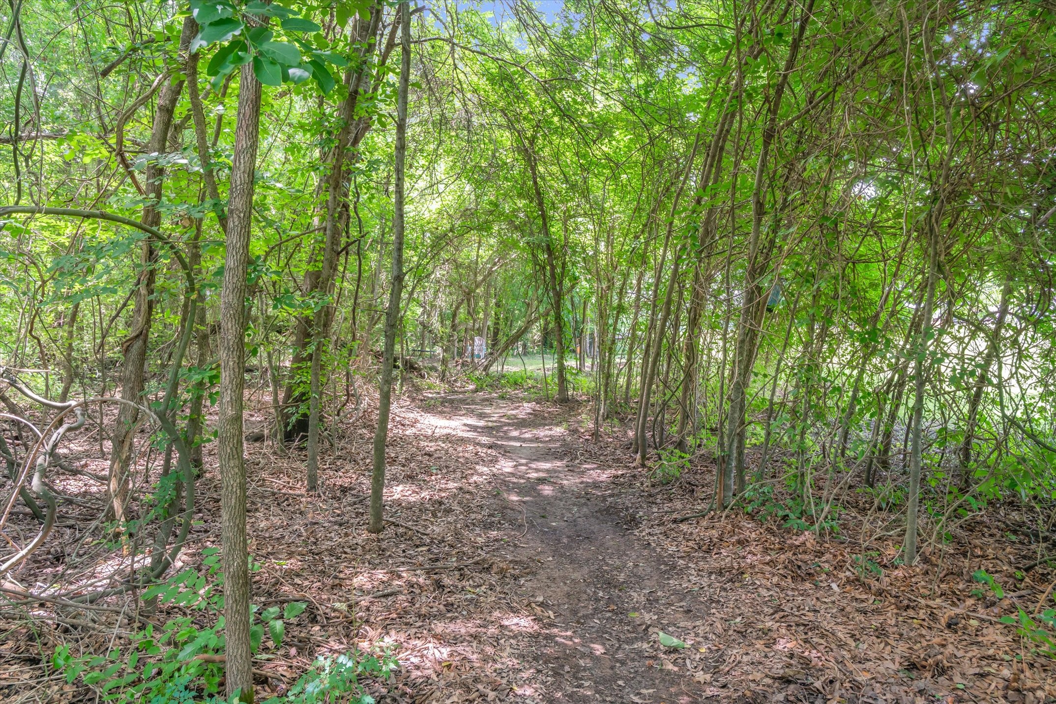 536 Private Road 7017 Edgewood TX 75117