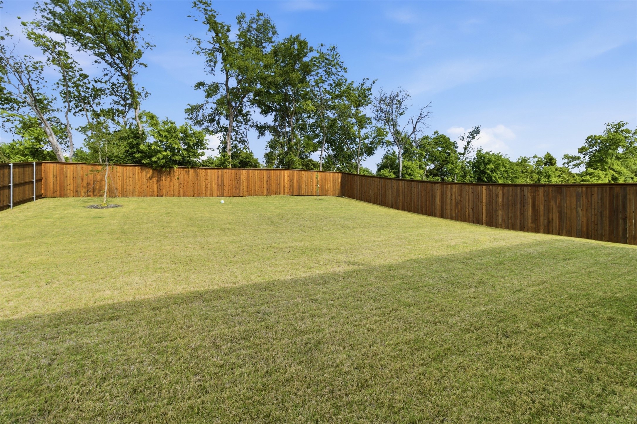 3214 Wallis Drive Melissa TX 75454