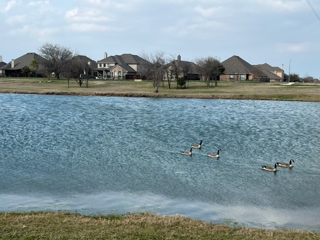 14317 Spitfire Trail Fort Worth TX 76262