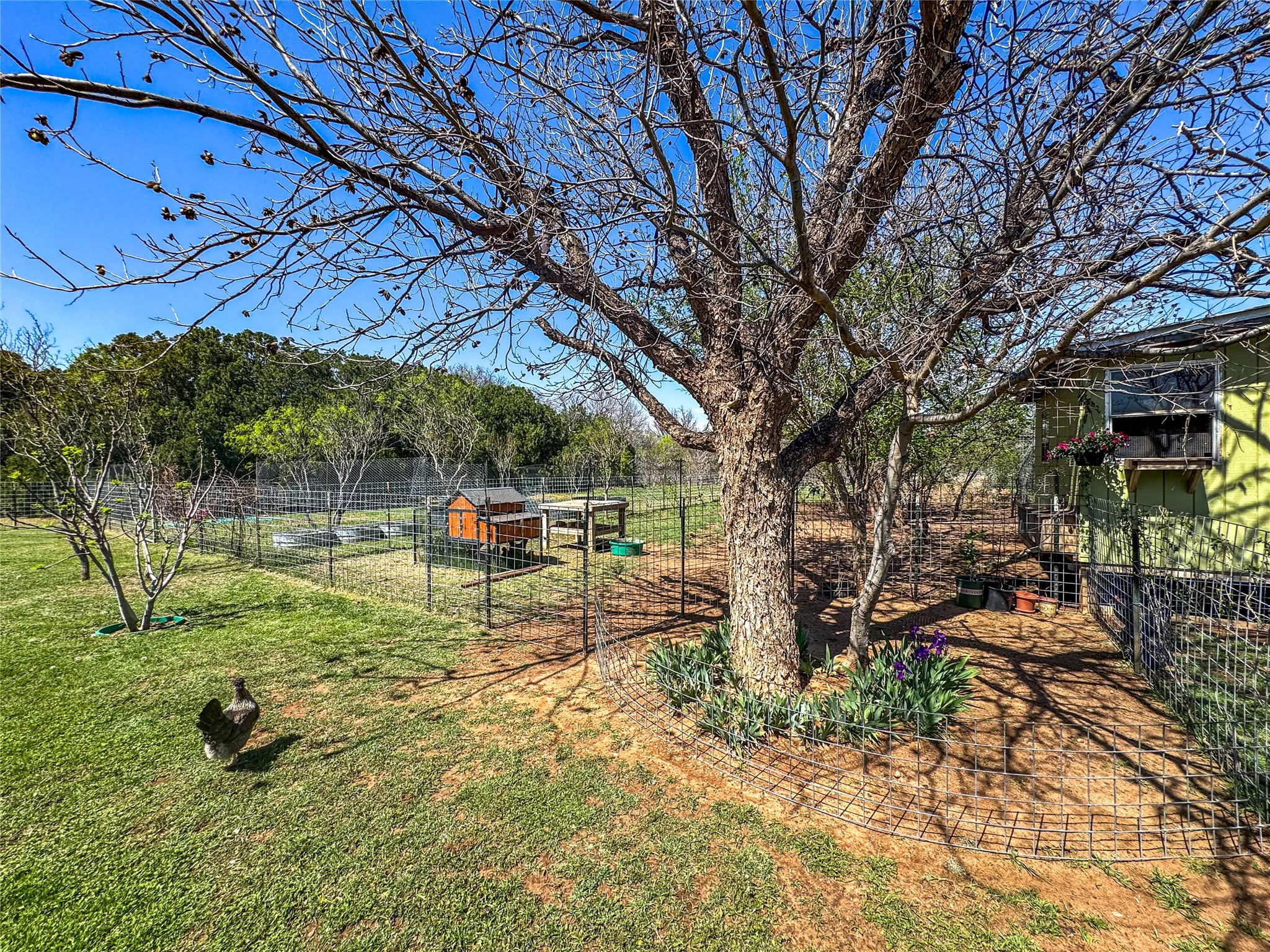 1209 Taylor Avenue Rule TX 79547