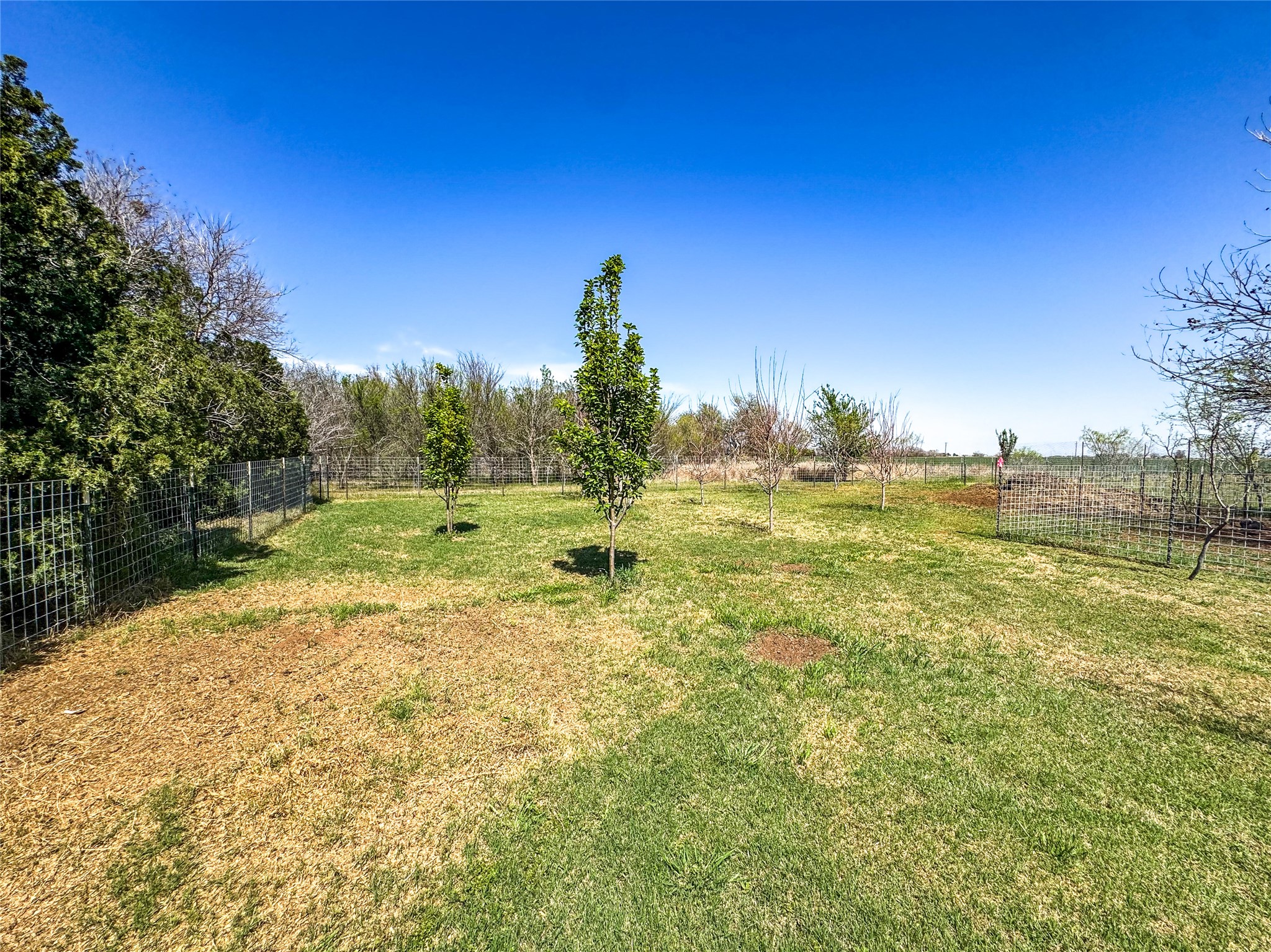 1209 Taylor Avenue Rule TX 79547