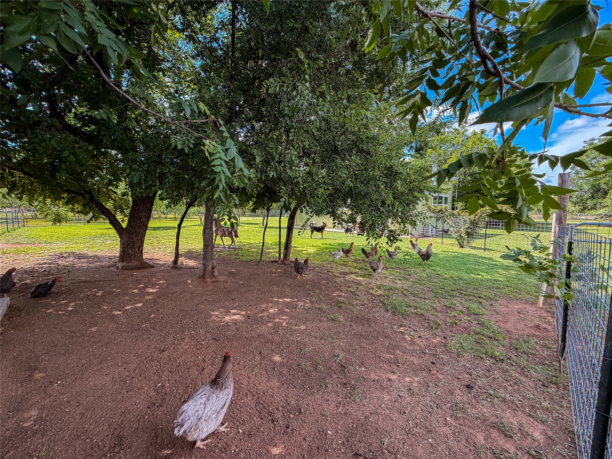 1209 Taylor Avenue Rule TX 79547