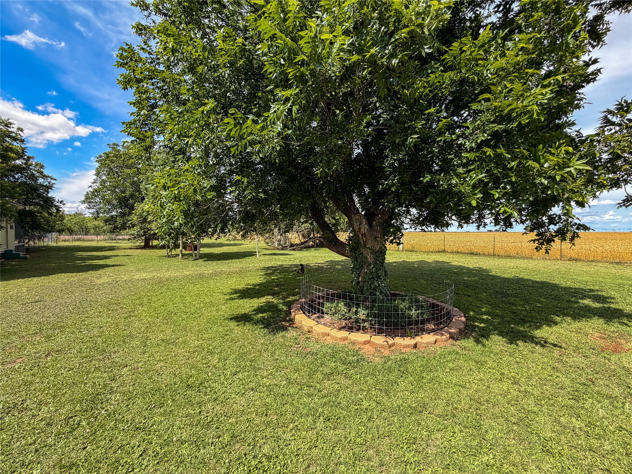 1209 Taylor Avenue Rule TX 79547