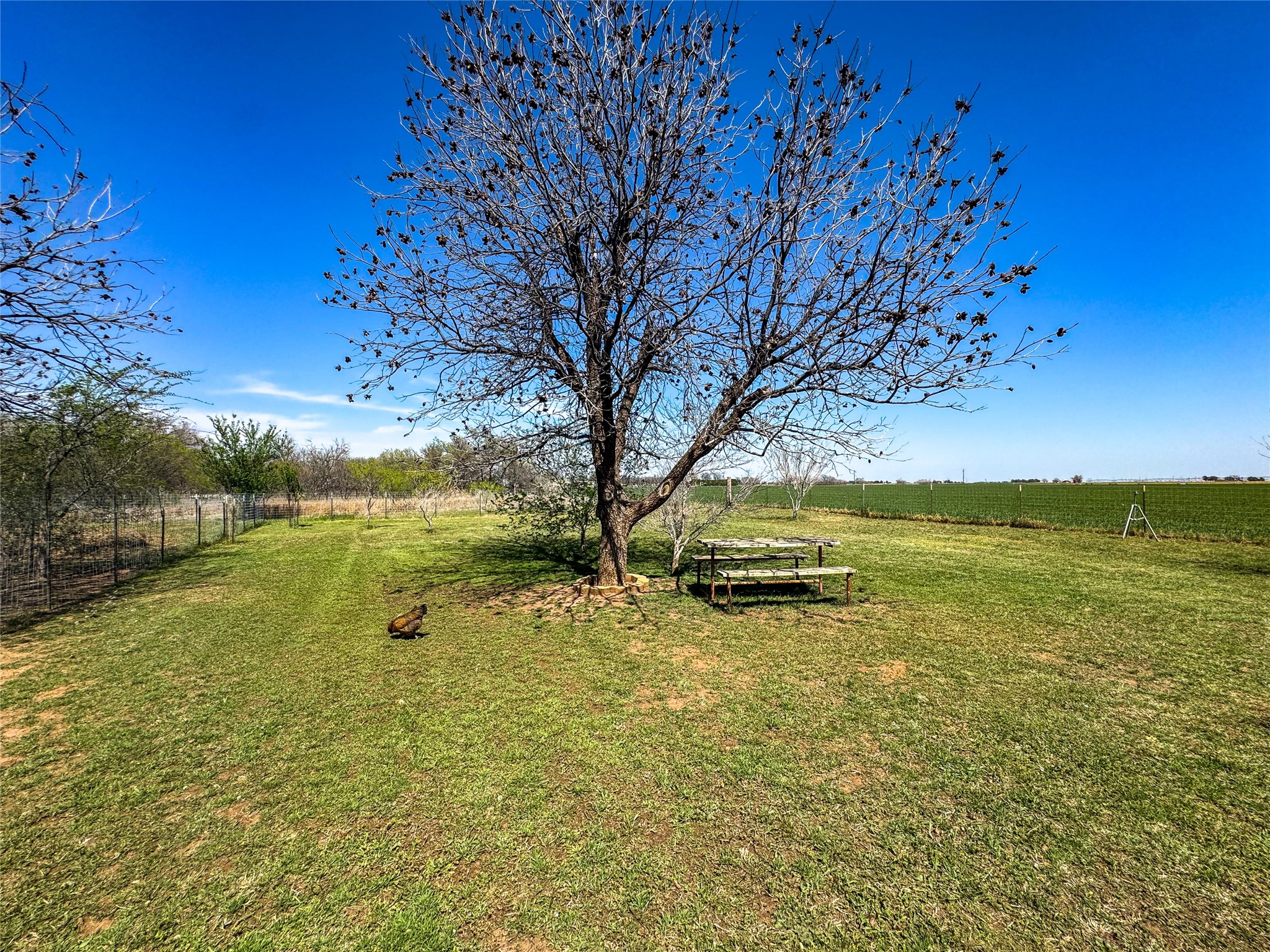 1209 Taylor Avenue Rule TX 79547