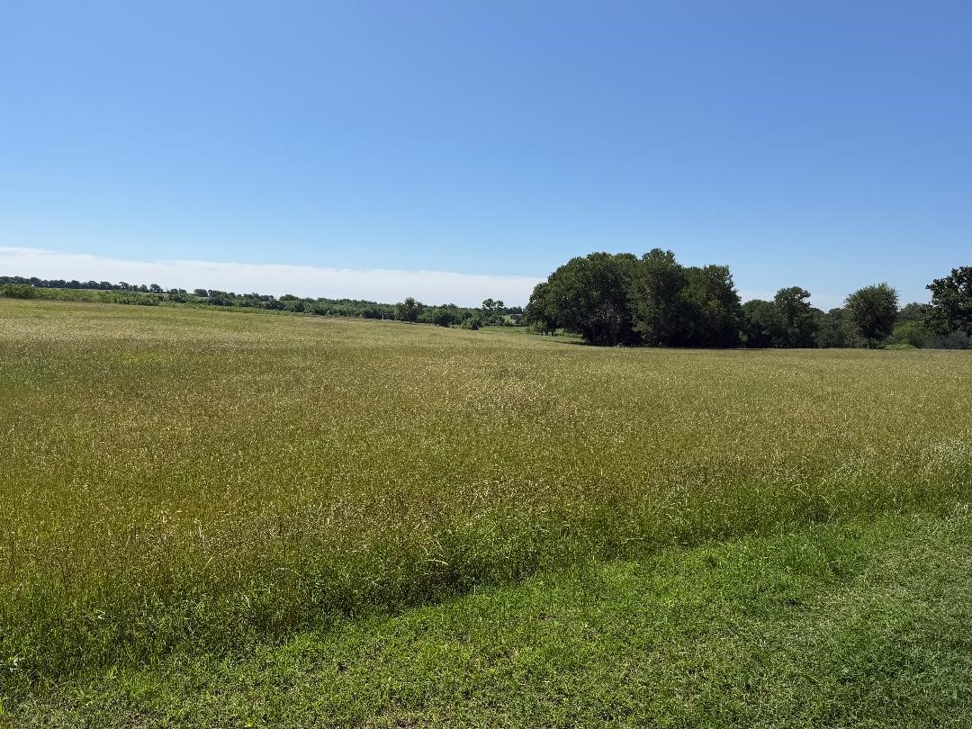 279 Hcr 1367 Hillsboro TX 76645