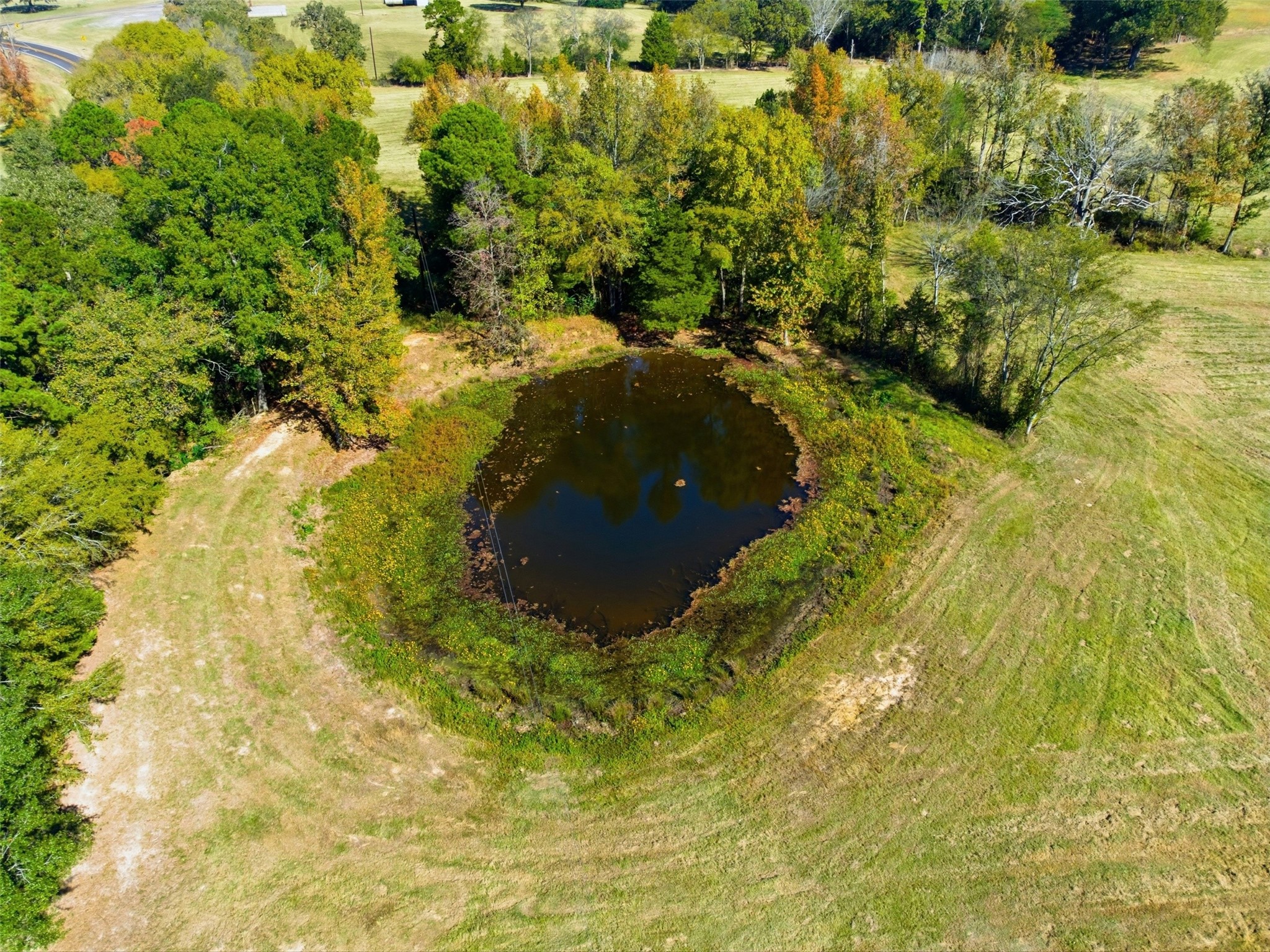 10495 Fm 115 Scroggins TX 75480