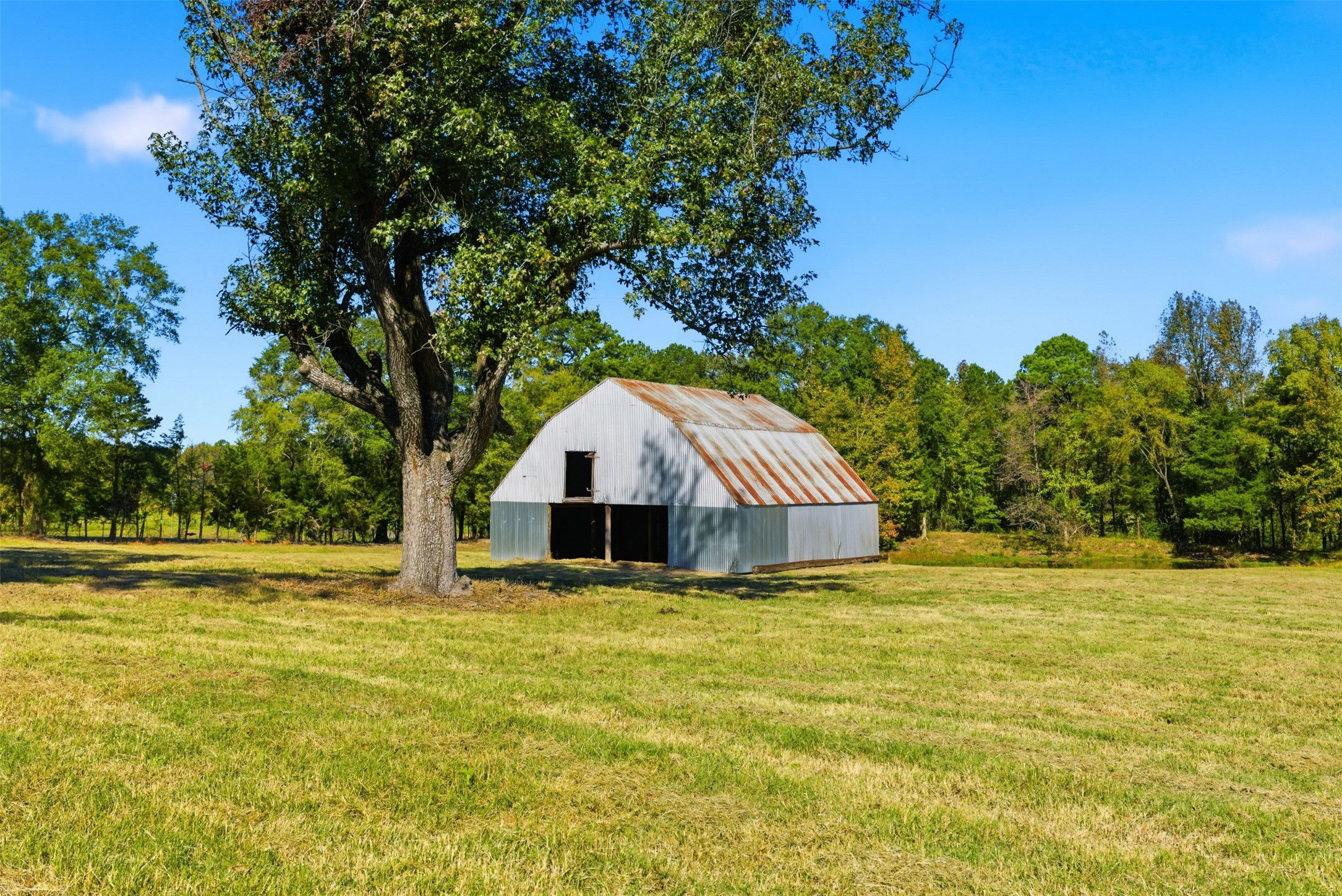 10495 Fm 115 Scroggins TX 75480