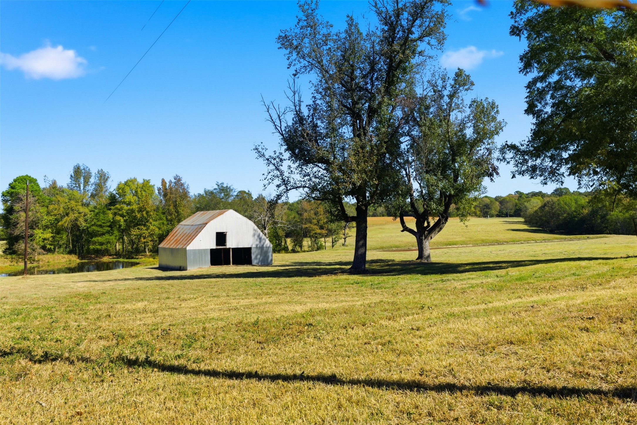10495 Fm 115 Scroggins TX 75480