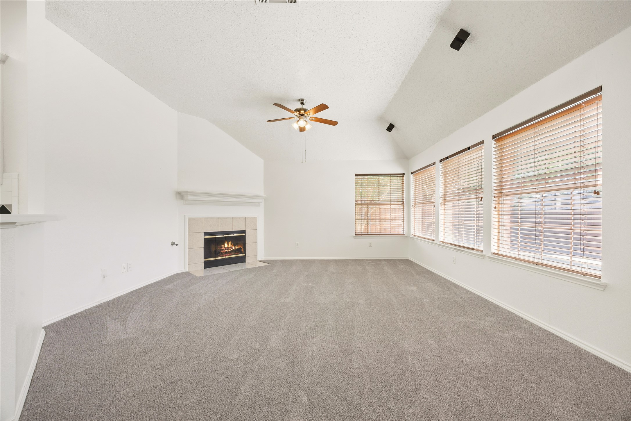 5208 Springflower Drive Frisco TX 75035