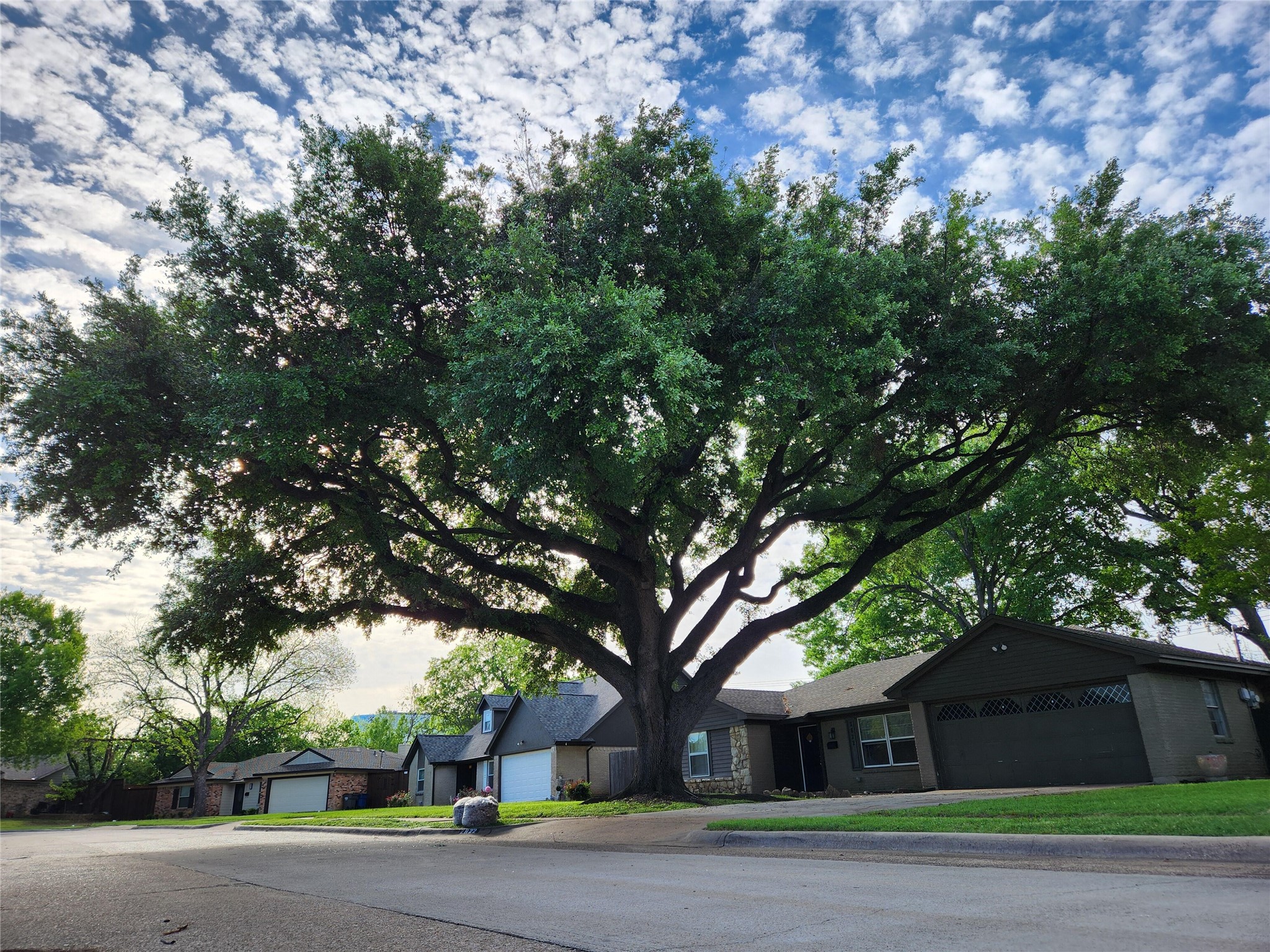 2822 Sunny Hill Lane Farmers Branch TX 75234
