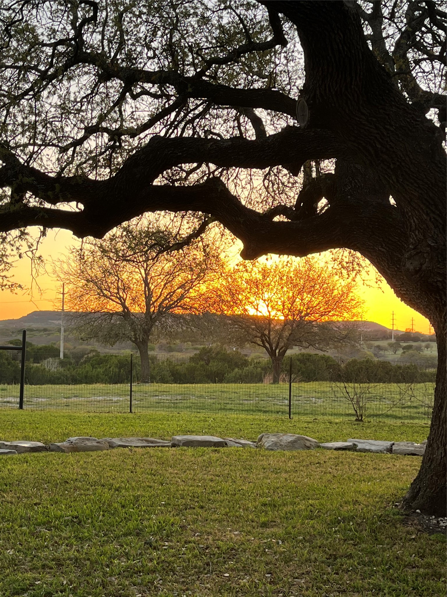 1311 Williamson Road Granbury TX 76048