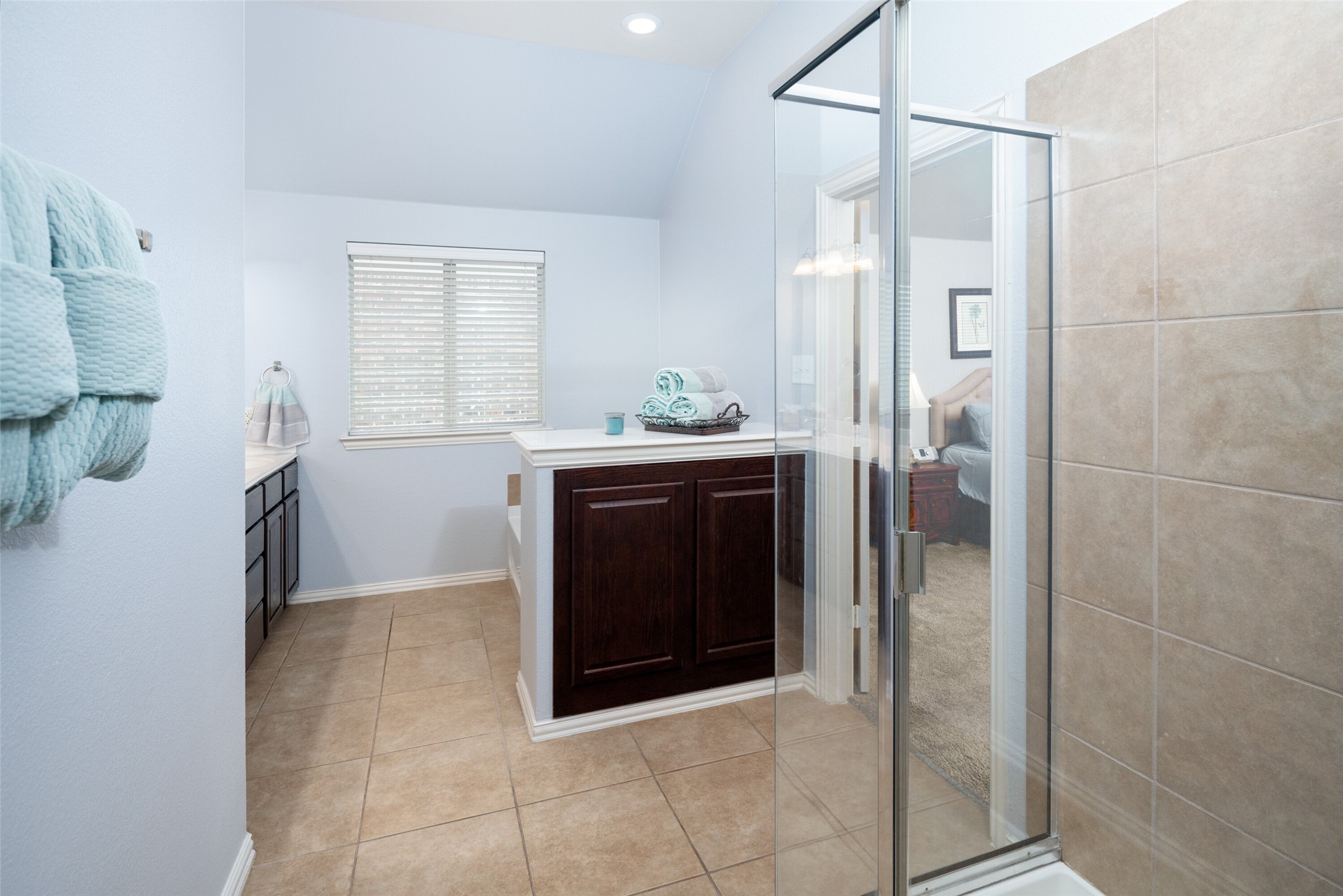 309 Willet Court Little Elm TX 75068