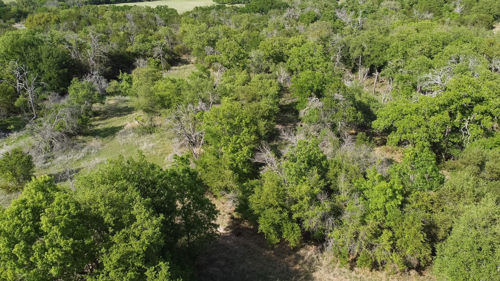 502 N Brown Street Hamilton TX 76531