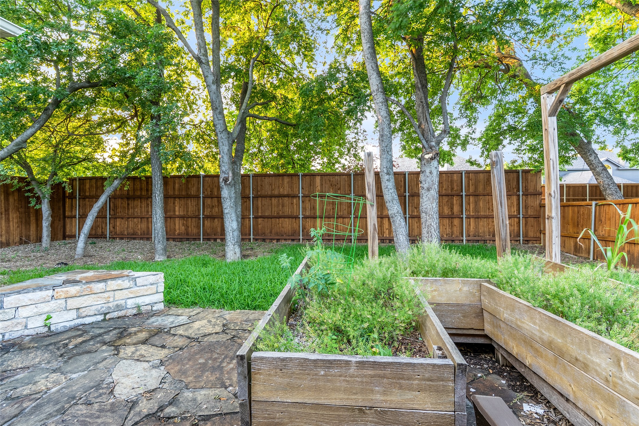 1317 Chardonnay Drive Allen TX 75002