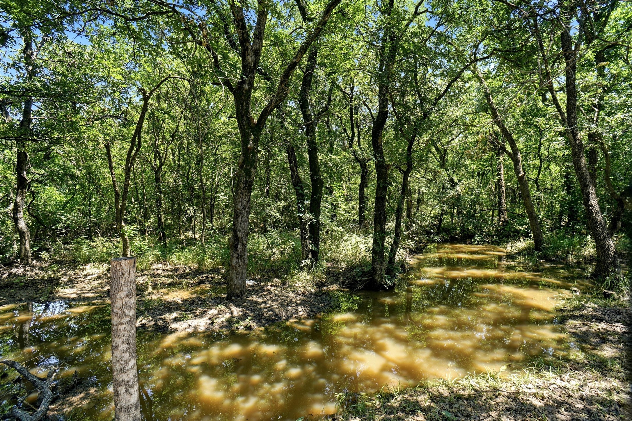 102 Manders Court Runaway Bay TX 76426