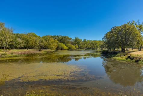 1004 County Road 4574 Sulphur Springs TX 75482