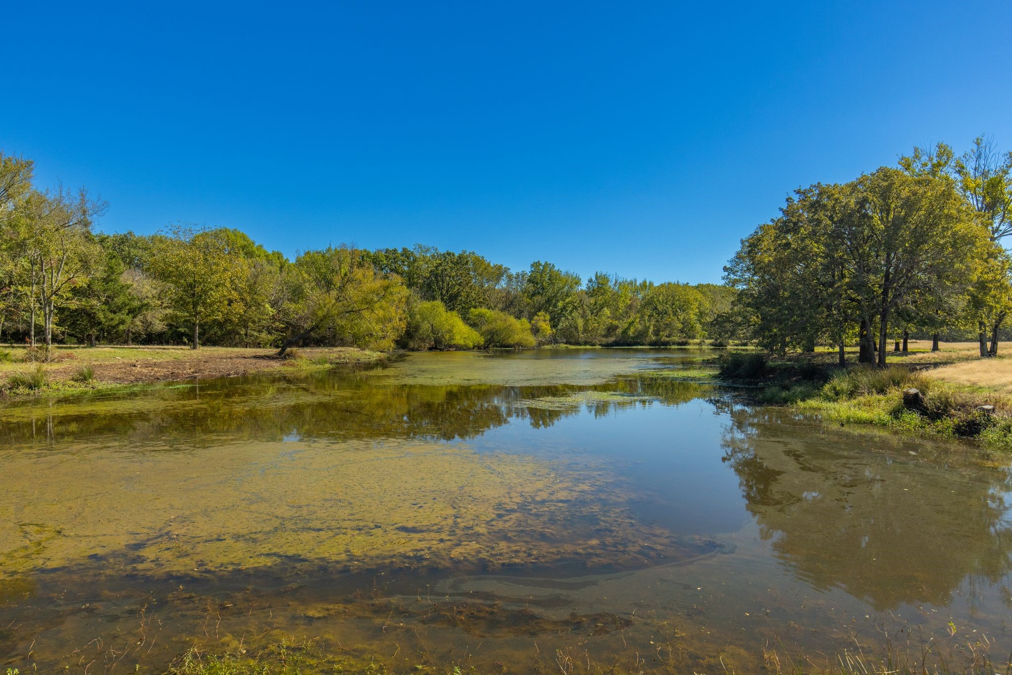 1004 County Road 4574 Sulphur Springs TX 75482