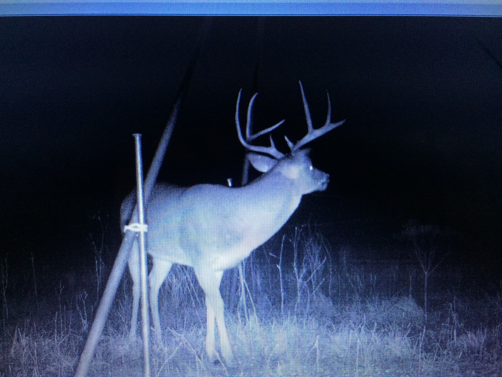 1004 County Road 4574 Sulphur Springs TX 75482