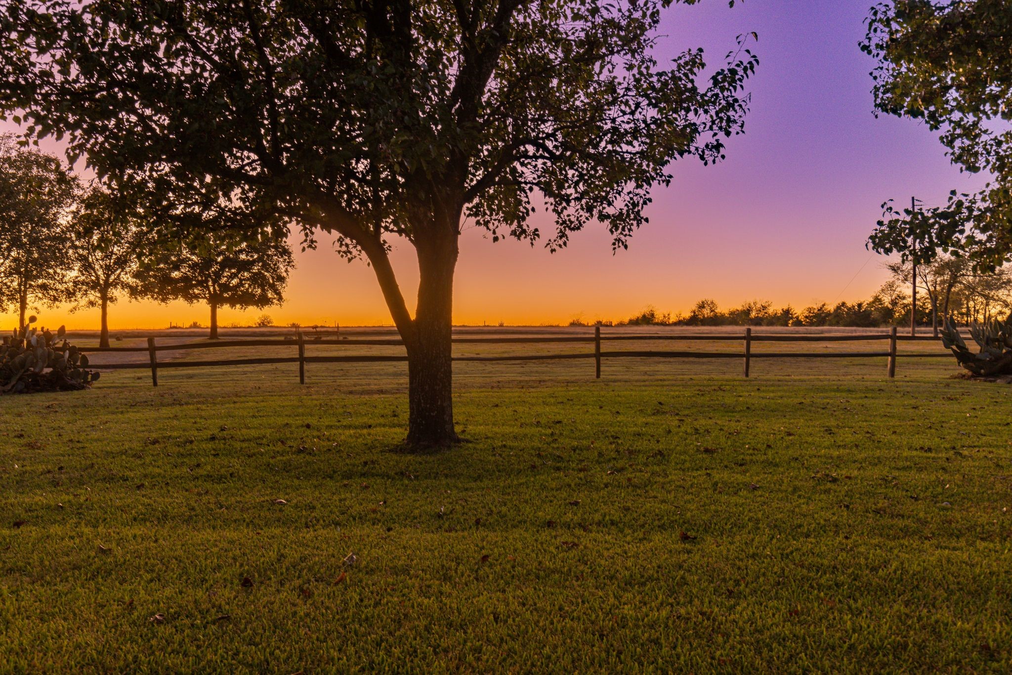 1004 County Road 4574 Sulphur Springs TX 75482