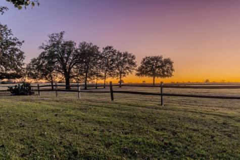 1004 County Road 4574 Sulphur Springs TX 75482