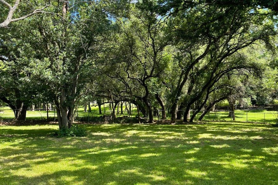 603 Oakpark Drive Brownwood TX 76801