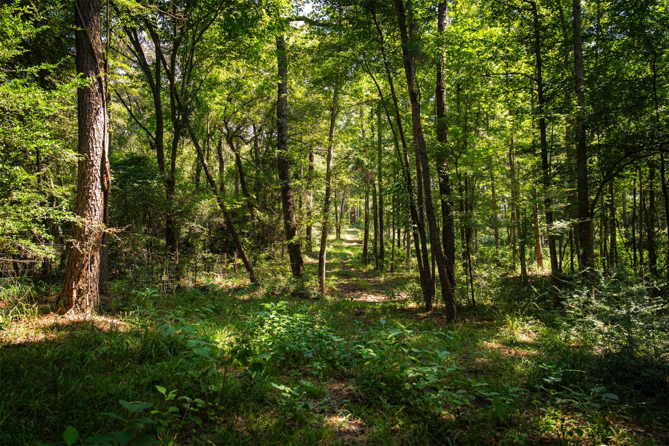 5624 E Fm 323 Palestine TX 75801