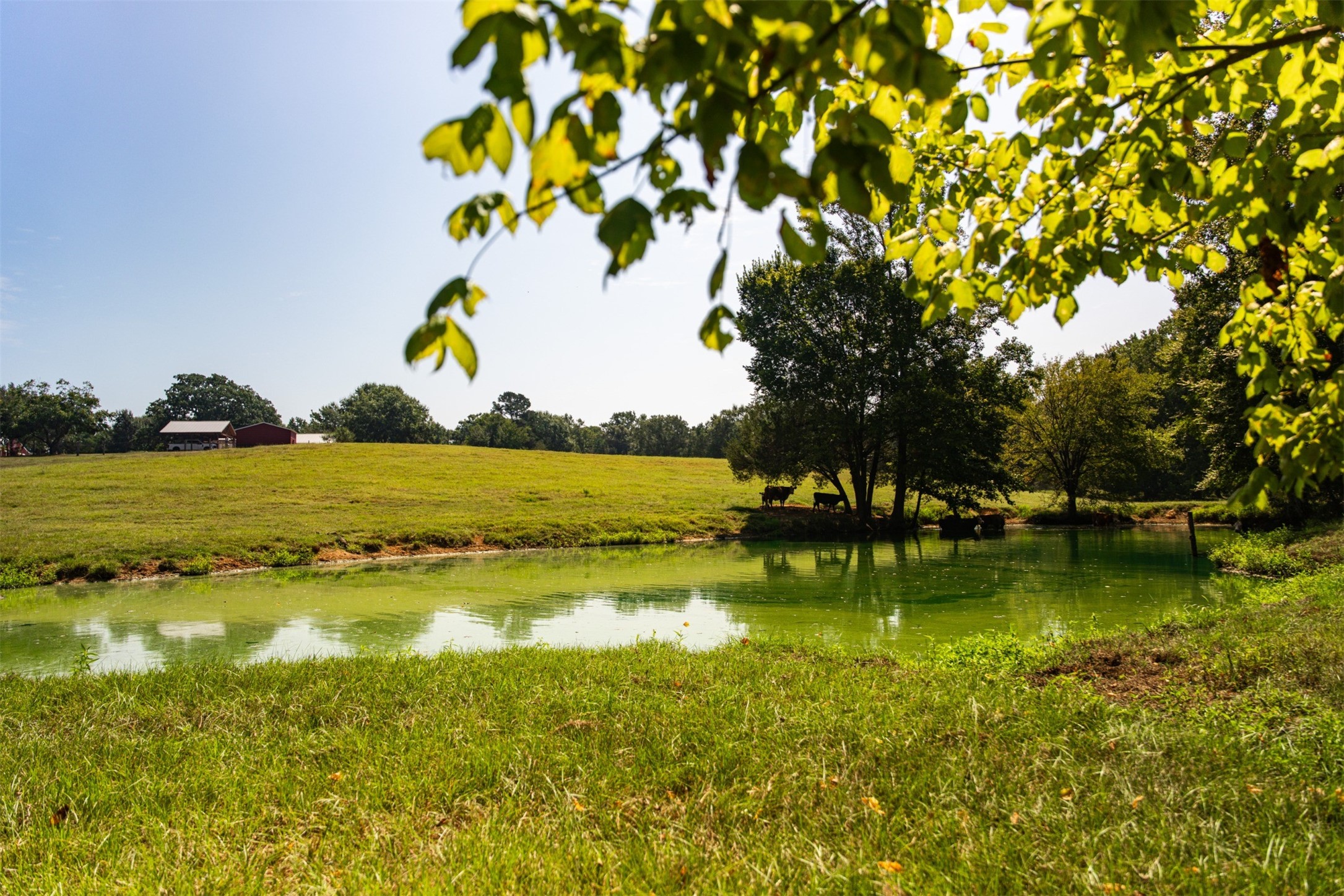 5624 E Fm 323 Palestine TX 75801