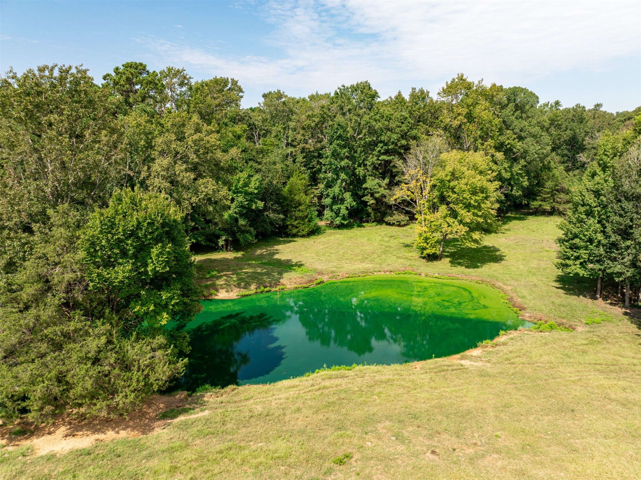5624 E Fm 323 Palestine TX 75801