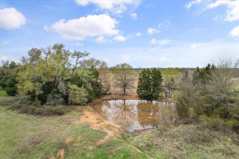 230 Fcr 141 Streetman TX 75859