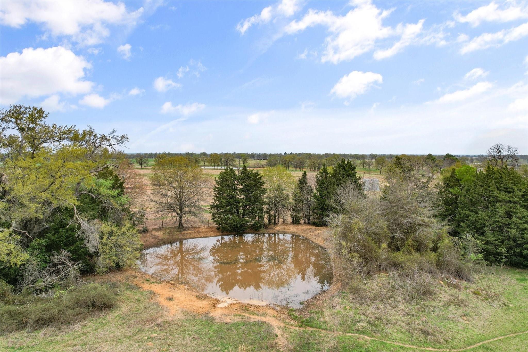 230 Fcr 141 Streetman TX 75859