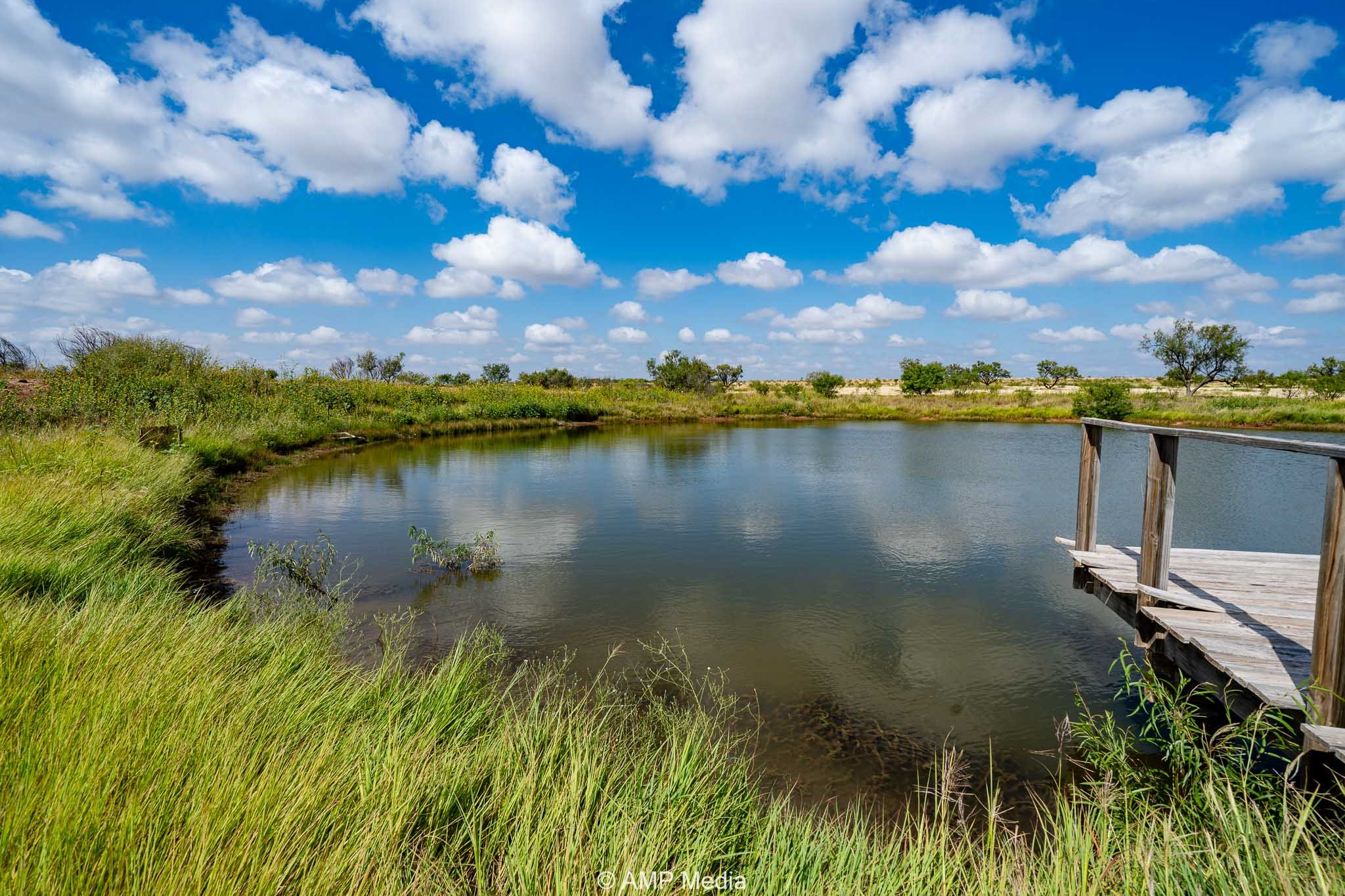 12100 E Us Highway 180 Hermleigh TX 79526