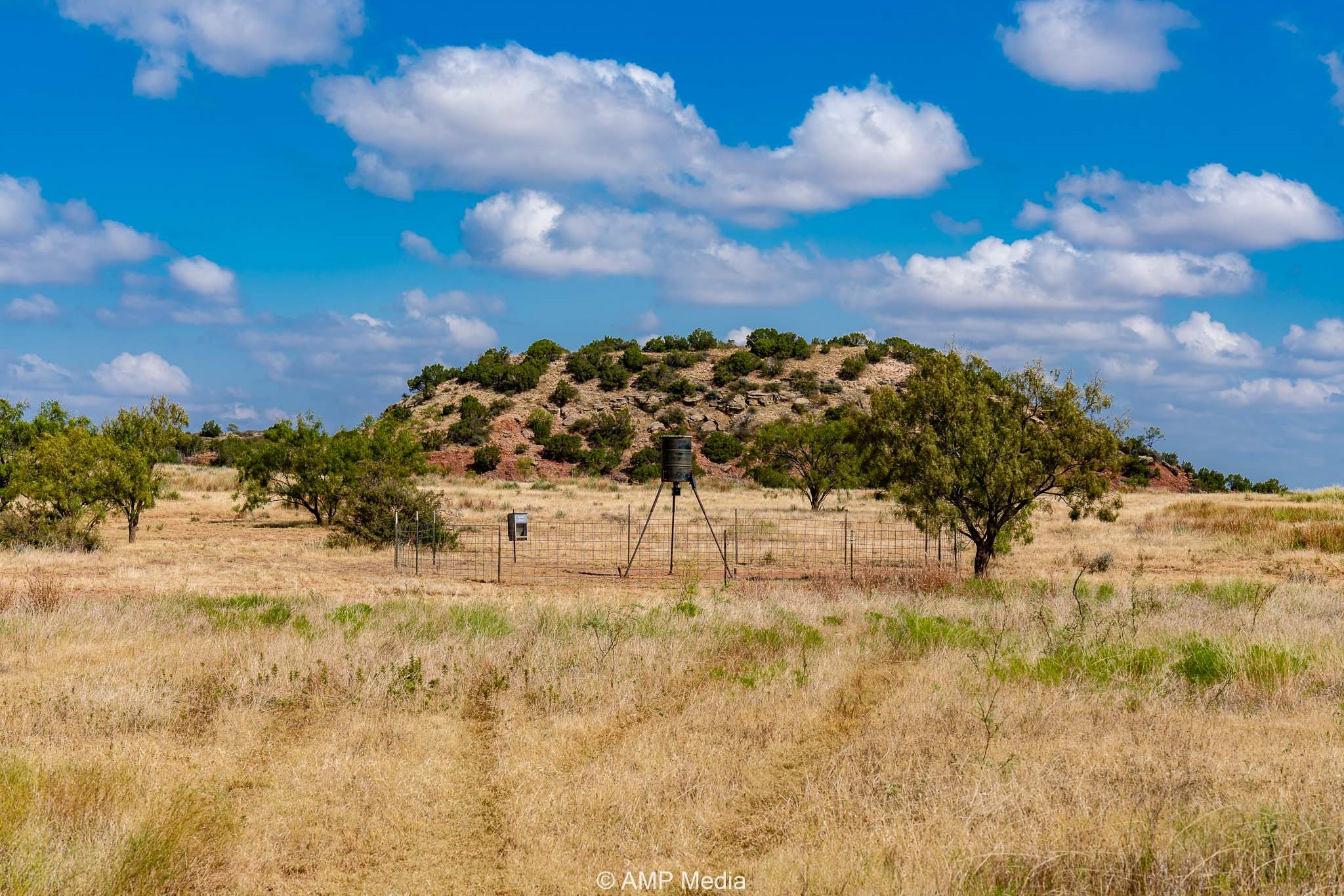 12100 E Us Highway 180 Hermleigh TX 79526